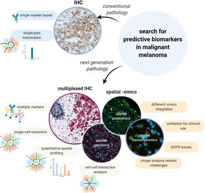 Frontiers | Multiplexed Immunohistochemistry And Digital Pathology As ...